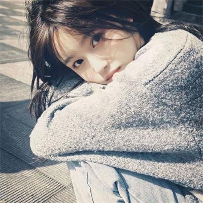 精灵宝可梦：比克提尼与白之英雄莱希拉姆